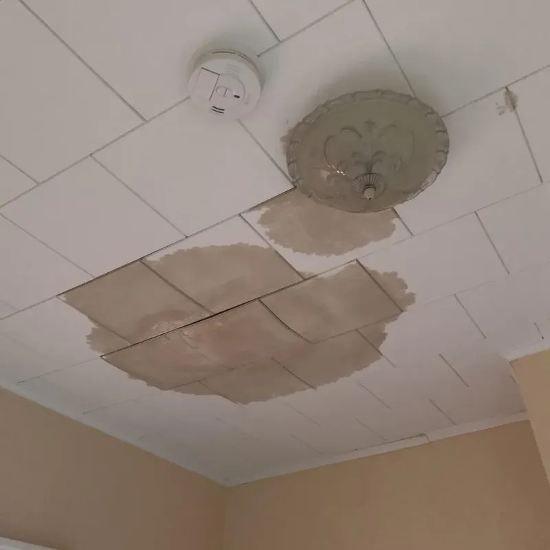 Ceiling Water Damage Repair in Andover, KS