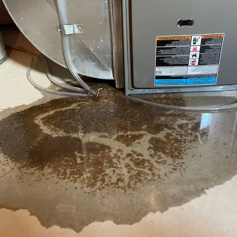 Pipe Burst and Leak Restoration in Andover, KS