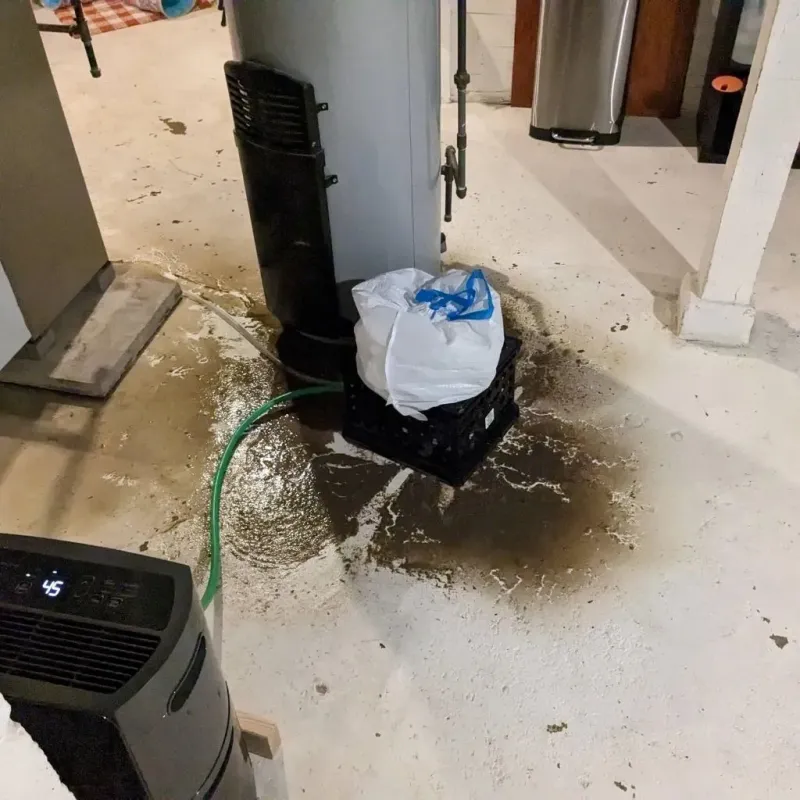 Sewage Backup Cleanup Service in Andover, KS